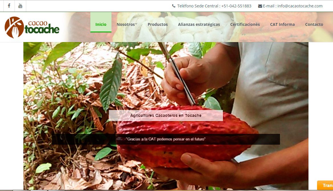 Sitio Web Cacao Tocache