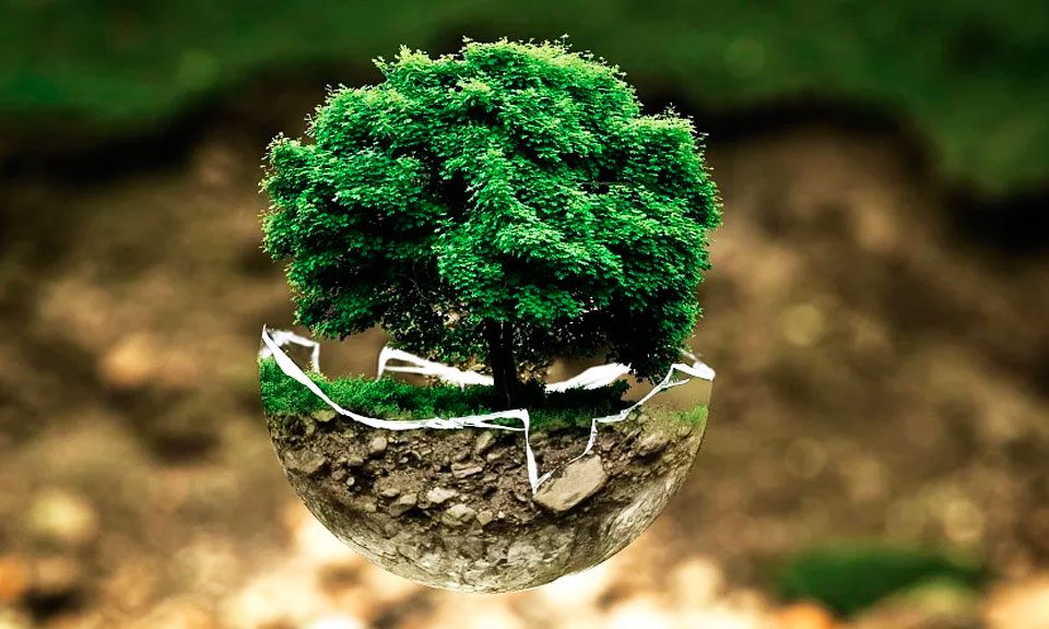 Emprender con sostenibilidad ambiental en los negocios - Overflow.pe
