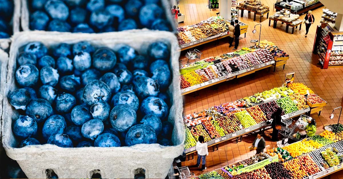 Mercados de abasto masivo: 8 cambios urgentes - Overflow.pe