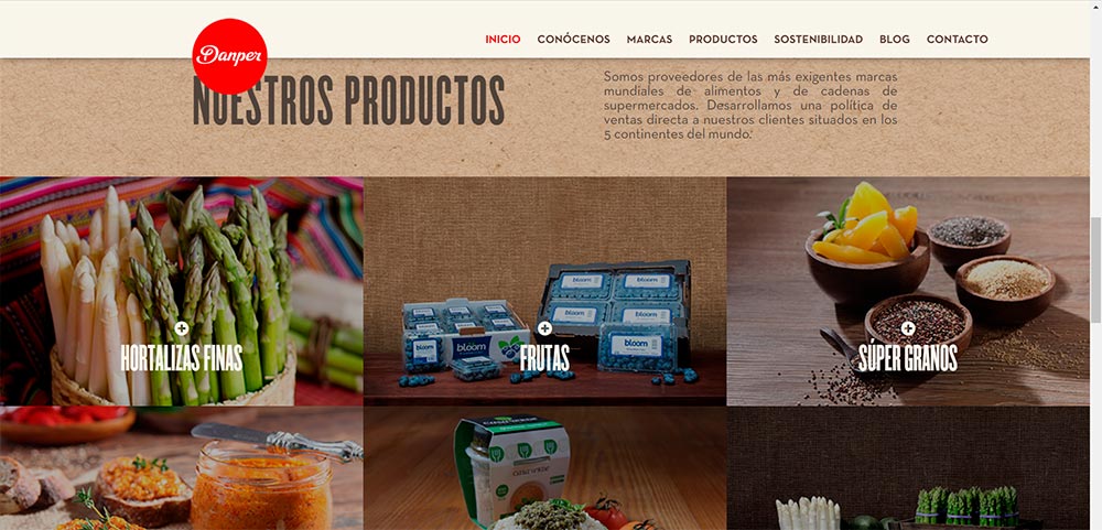 Sitio Web Corporación Danper Sitio Web Corporación Danper