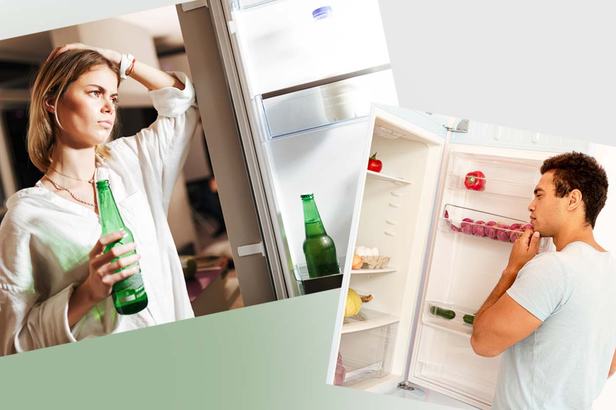 Refrigeradoras vs Frigobares ¿Cuál elegir?