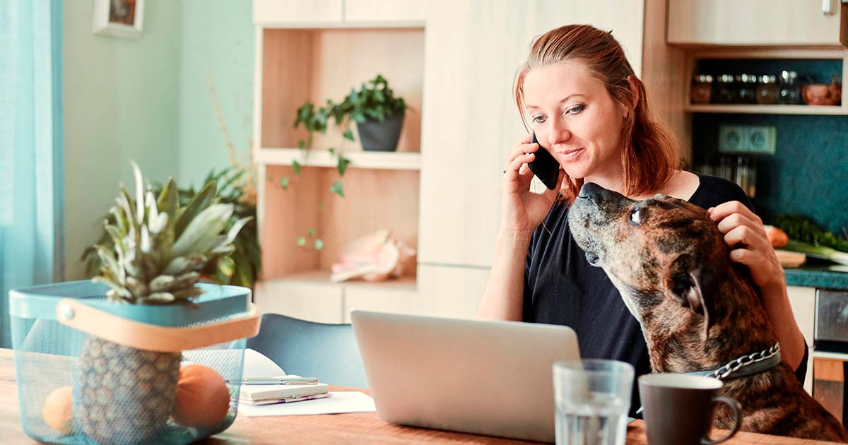 Cómo elegir un software ERP: La guía definitiva