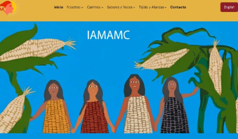 Sitio Web de IAMAMC